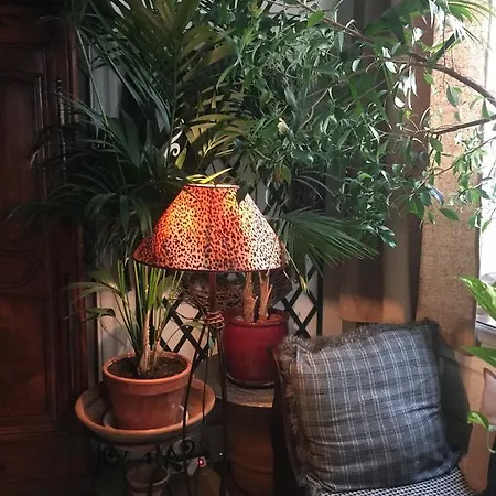 D'autres, Massages Couette-café
